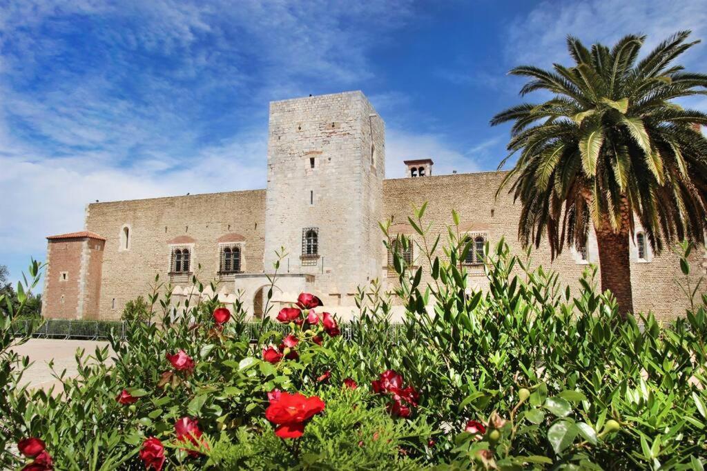 Appartement Boheme Proche Gare & Centre-Ville Perpignan Dış mekan fotoğraf
